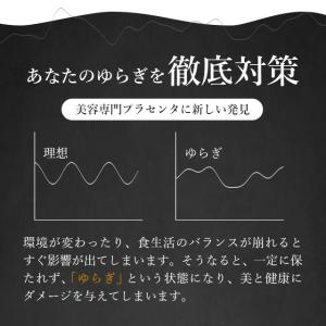 プラセンタ (約1ヶ月分) 美容 コラーゲン ...の詳細画像5