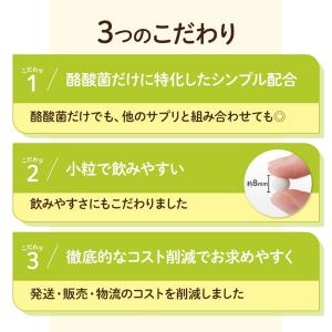 酪酸菌(約1ヶ月分) オーガランド サプリ サ...の詳細画像4