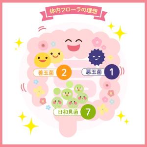 酪酸菌 (約1ヶ月分) サプリ サプリメント ...の詳細画像5