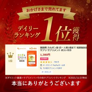 酪酸菌(約3ヶ月分)ダイエット サプリ サプリ...の詳細画像3