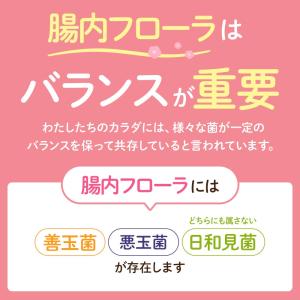 酪酸菌(約3ヶ月分)ダイエット サプリ サプリ...の詳細画像5