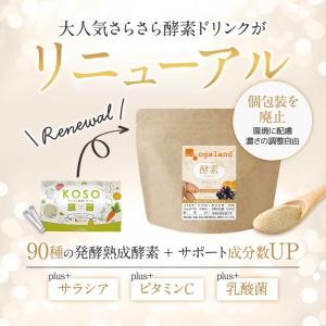 酵素ドリンク サラシア plus+(80g)フ...の詳細画像1