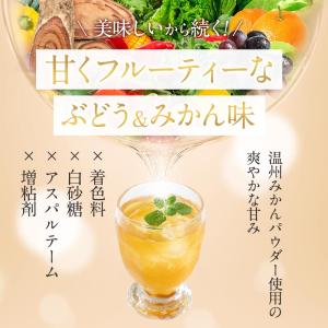 酵素ドリンク サラシア plus+(80g)フ...の詳細画像5