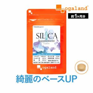 シリカサプリ （約1ヶ月分） ミネラル コラーゲン ヒアルロン酸  サプリメント サプリ 美容  ポイント利用