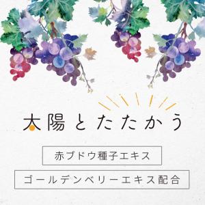太陽のぶどう (約3ヶ月分) サプリメント サ...の詳細画像4