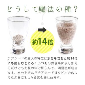チアシード ホワイトチアシード (200g) ...の詳細画像3