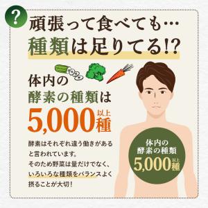 やさい酵素(約3ヶ月分)賞味期限2026年12...の詳細画像5