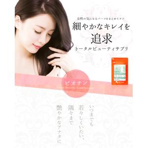 ビオチン サプリ 約3ヶ月分 亜鉛 サプリメン...の詳細画像1