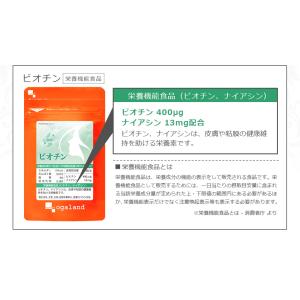 ビオチン サプリ 約3ヶ月分 亜鉛 サプリメン...の詳細画像4