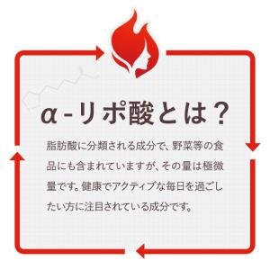 α-リポ酸 (約3ヶ月分) ポイント利用の詳細画像4