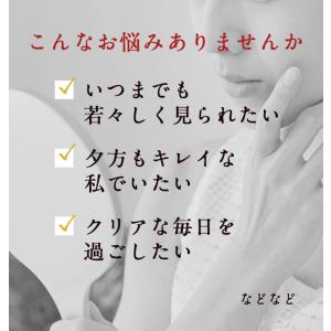 アスタキサンチン & ビタミンE (約...の詳細画像4