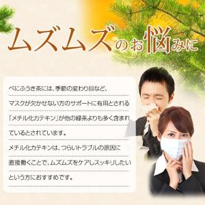 べにふうき茶 粉末タイプ (40g)カテキン ...の詳細画像5