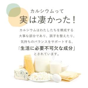 カルシウム サプリ 約3ヶ月分 ビタミンD ナ...の詳細画像4