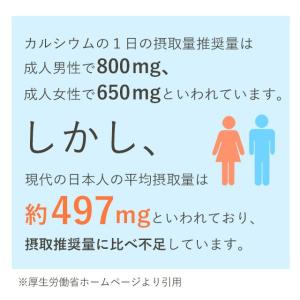 カルシウム サプリ 約3ヶ月分 ビタミンD ナ...の詳細画像5