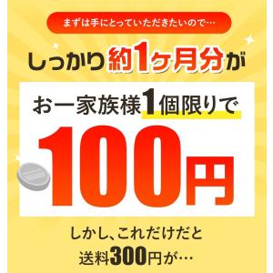今週の100円 マルチミネラル (約1ヶ月分)...の詳細画像4