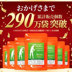 グルコサミン コンドロイチン サプリ (約6ヶ...の詳細画像1