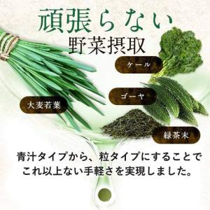 大麦若葉粒タイプ (約3ヶ月分) 青汁 サプリ...の詳細画像3