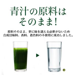 大麦若葉粒タイプ (約3ヶ月分) 青汁 サプリ...の詳細画像5
