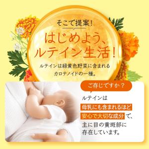 ルテイン サプリ 約3ヶ月分 ゼアキサンチン ...の詳細画像5