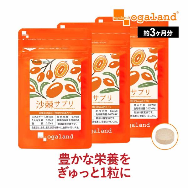 沙棘サプリ （約3ヶ月分） サプリメント サジー サプリ 不飽和脂肪酸 ビタミンC 酵素 処理 ヘス...