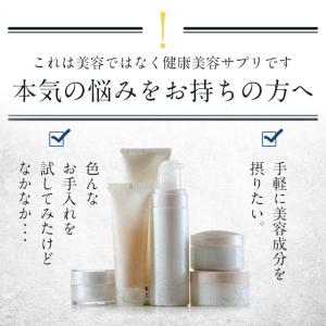 ライスセラミド 約3ヶ月分 グルコシルセラミド...の詳細画像5