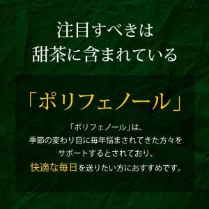 甜茶と邪払 (約1ヶ月分)サプリ ポリフェノー...の詳細画像4