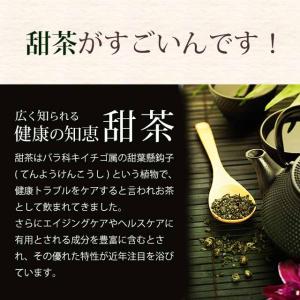 甜茶と邪払 (約1ヶ月分)サプリ ポリフェノー...の詳細画像3
