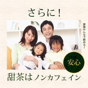 甜茶と邪払 (約1ヶ月分)サプリ ポリフェノー...の詳細画像5