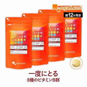 8種のビタミンB群 (約12ヶ月分) ビタミンB ビタミンB12 サプリ サプリメント 栄養機能食品...