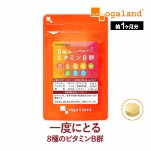 8種のビタミンB群 (約1ヶ月分) ビタミンB ビタミンB12 サプリ サプリメント 栄養機能食品 葉酸 B2 ナイアシン パントテン酸 ビオチン 目安 1日2粒