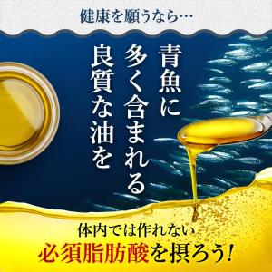 オメガ3 DHA EPA (約3ヶ月分) α-...の詳細画像5