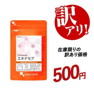 訳あり エキナセア （約1ヶ月分） 賞味期限2027年3月末まで サプリ サプリメント ビタミンC 送料無料 エキナセアプルプレア 季節の変わり目 ポイント利用