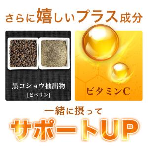 訳あり エキナセア (約1ヶ月分) 賞味期限2...の詳細画像5