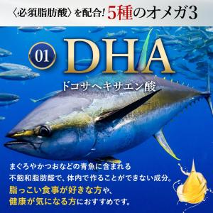 父の日 ギフト 2026 DHA満足セット オ...の詳細画像4