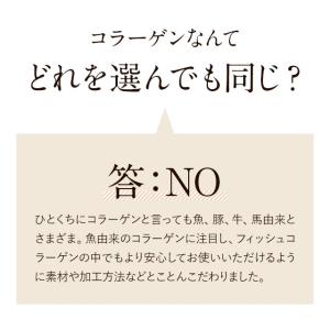 さらさらフィッシュコラーゲン (100g) 無...の詳細画像2
