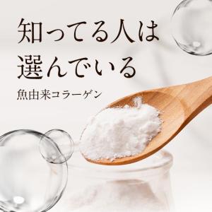 さらさらフィッシュコラーゲン (100g) 無...の詳細画像3