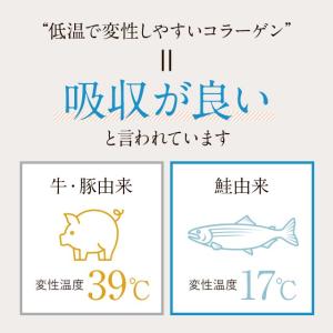 さらさらフィッシュコラーゲン (100g) 無...の詳細画像4