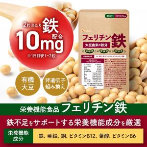 フェリチン鉄(約3ヶ月分)新発売 栄養機能食品...の詳細画像3