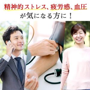 GABA サプリ 約3ヶ月分 血圧 改善 スト...の詳細画像1