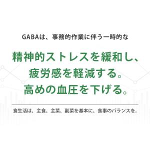 GABA サプリ 約3ヶ月分 血圧 改善 スト...の詳細画像5