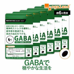 GABA （約6ヶ月分） サプリ サプリメント ギャバ 機能性表示食品 血圧 改善 ストレス 軽減 ...