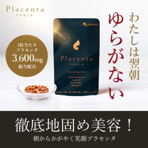 プラセンタ(約3ヶ月分)賞味期限2026年12...の詳細画像4