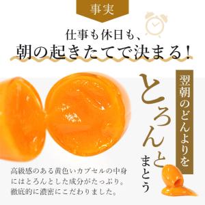 プラセンタ(約3ヶ月分)賞味期限2026年12...の詳細画像5