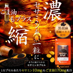 セサミンカプセル (約1ヶ月分) ごま サプリ...の詳細画像5