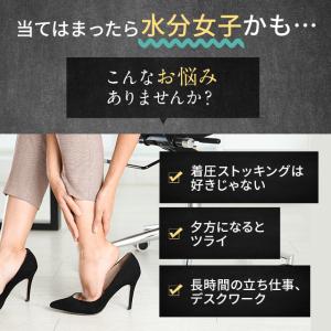 γ-トコフェロール (約3ヶ月分) サプリメン...の詳細画像3