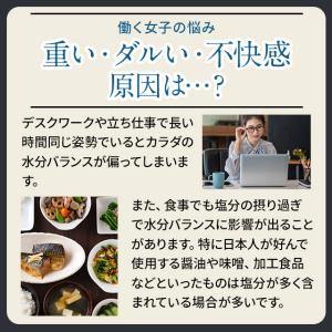 γ-トコフェロール (約3ヶ月分) サプリメン...の詳細画像5