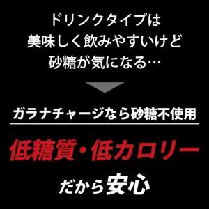 ガラナチャージ (60カプセル)カフェイン サ...の詳細画像5