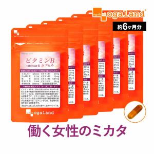 ビタミンBカプセル （約6ヶ月分）サプリメント 美容 サプリ 栄養機能食品 イノシトール 女性 葉酸 皮膚や粘膜の健康維持を助ける