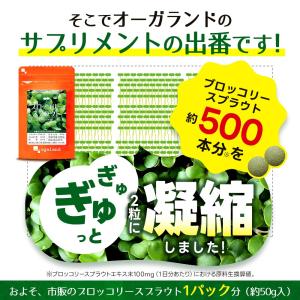 ブロッコリースプラウト サプリ 約6ヶ月分 ス...の詳細画像5