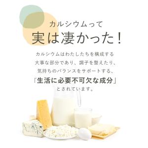 カルシウム (約6ヶ月分) サプリ カルシウム...の詳細画像4